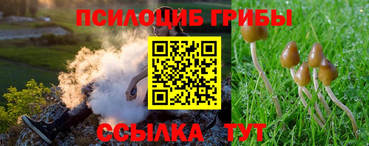 Сызрань  Галлюциногенные грибы ЛСД  Псилоцибиновые грибы GOLDEN TEACHER  Вход с VPN 